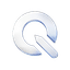 Quick Solutions Logo